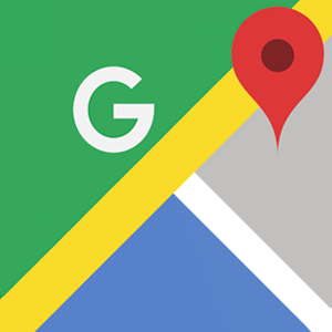 icon google maps